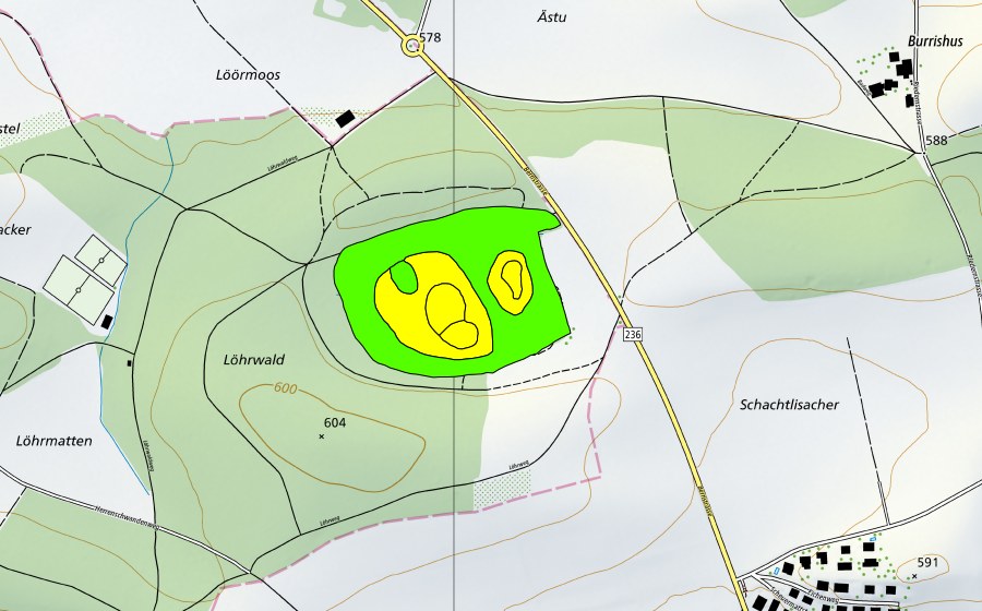 Landeskarte swisstopo mit dem Schutzperimeter von Lörmoos (Hochmoor)