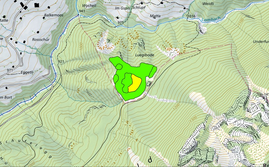 Landeskarte swisstopo mit dem Schutzperimeter von Luegiboden (Hochmoor)