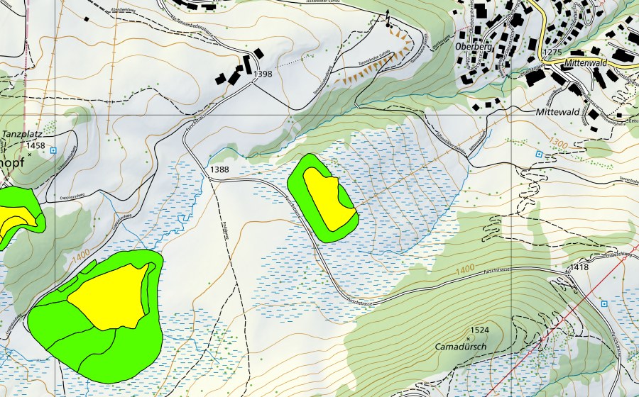 Carte nationale swisstopo avec le périmètre protégé de Madils (Haut-marais)