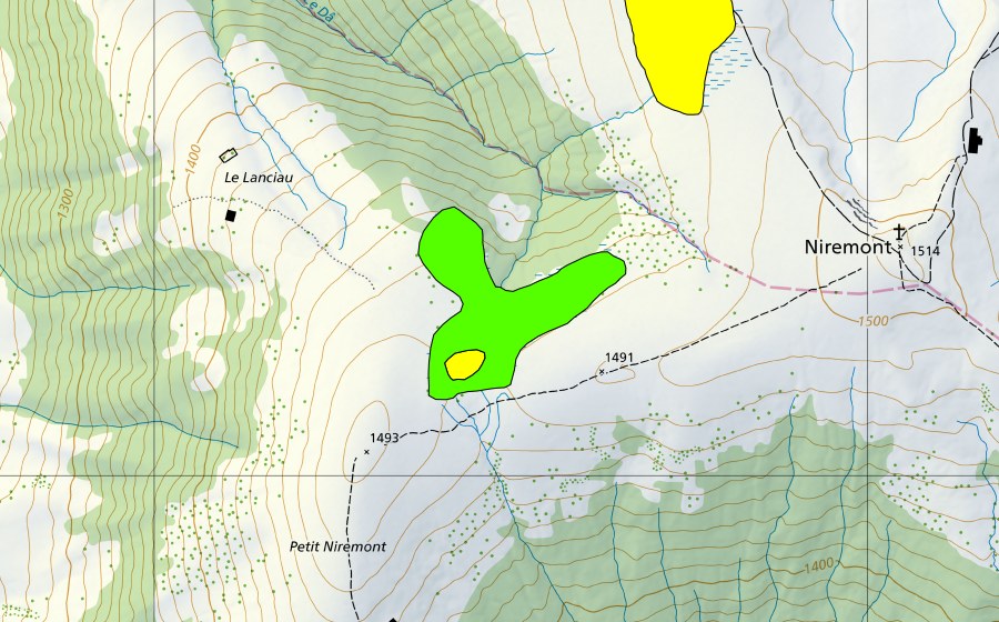 Landeskarte swisstopo mit dem Schutzperimeter von Marais au nord du Petit Niremont (Hochmoor)