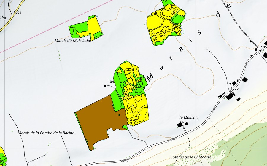 Carta nazionale swisstopo con il perimetro protetto di Marais de la Châtagne (Torbiera alta)