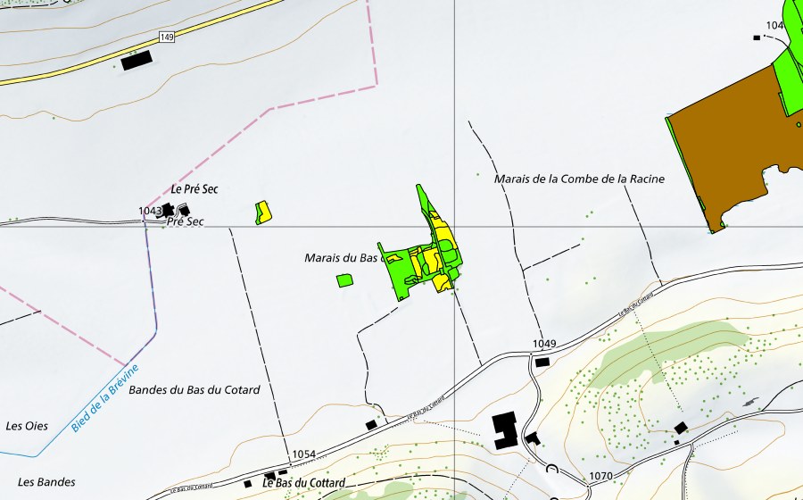 Landeskarte swisstopo mit dem Schutzperimeter von Marais de la Châtagne (Hochmoor)