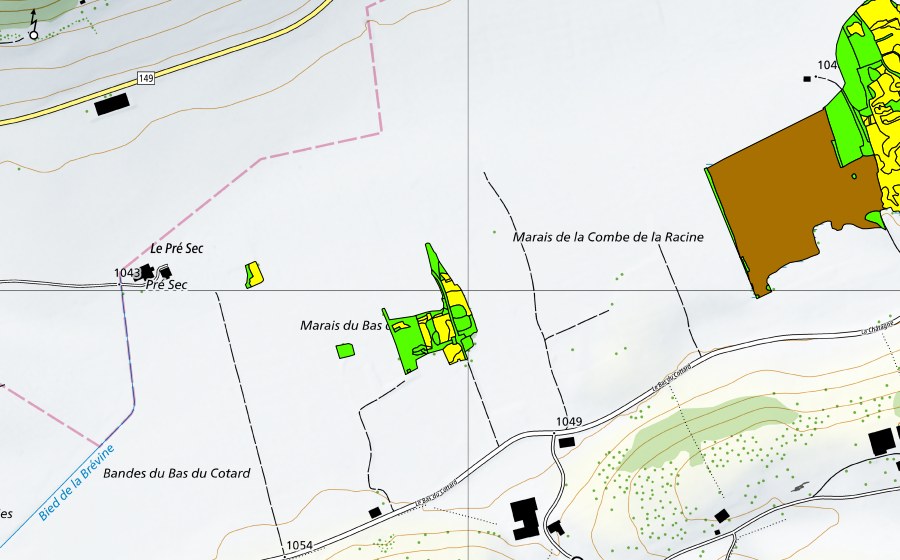 Landeskarte swisstopo mit dem Schutzperimeter von Marais de la Châtagne (Hochmoor)