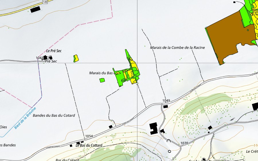 Landeskarte swisstopo mit dem Schutzperimeter von Marais de la Châtagne (Hochmoor)