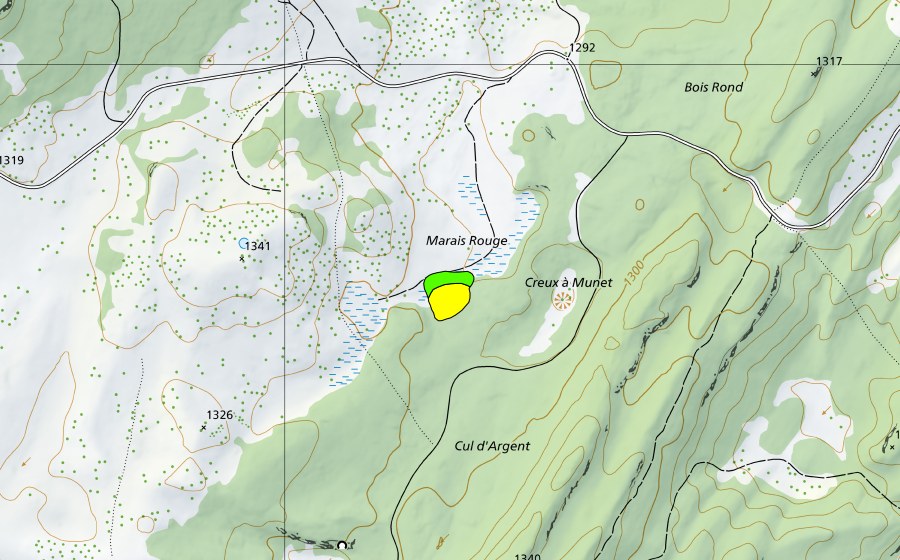 Landeskarte swisstopo mit dem Schutzperimeter von Marais Rouge (Hochmoor)