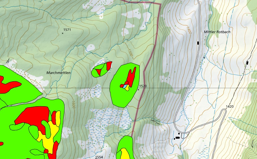 Landeskarte swisstopo mit dem Schutzperimeter von Marchmettlen (Hochmoor)