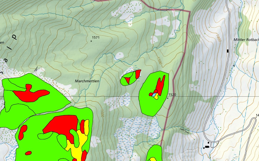 swisstopo national map showing the protected perimeter of Marchmettlen (Raised bog)