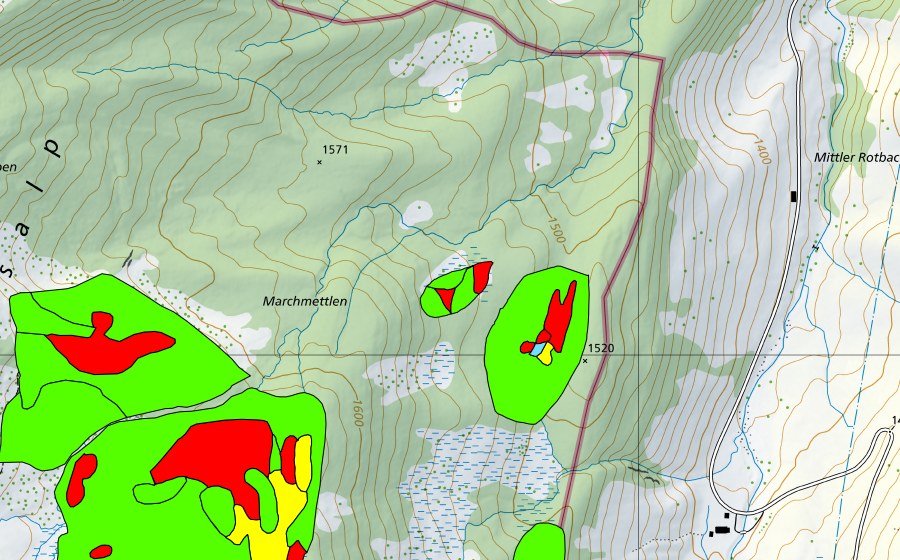 Carte nationale swisstopo avec le périmètre protégé de Marchmettlen (Haut-marais)