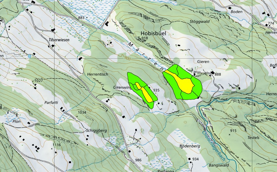 Carte nationale swisstopo avec le périmètre protégé de Märzental (Haut-marais)