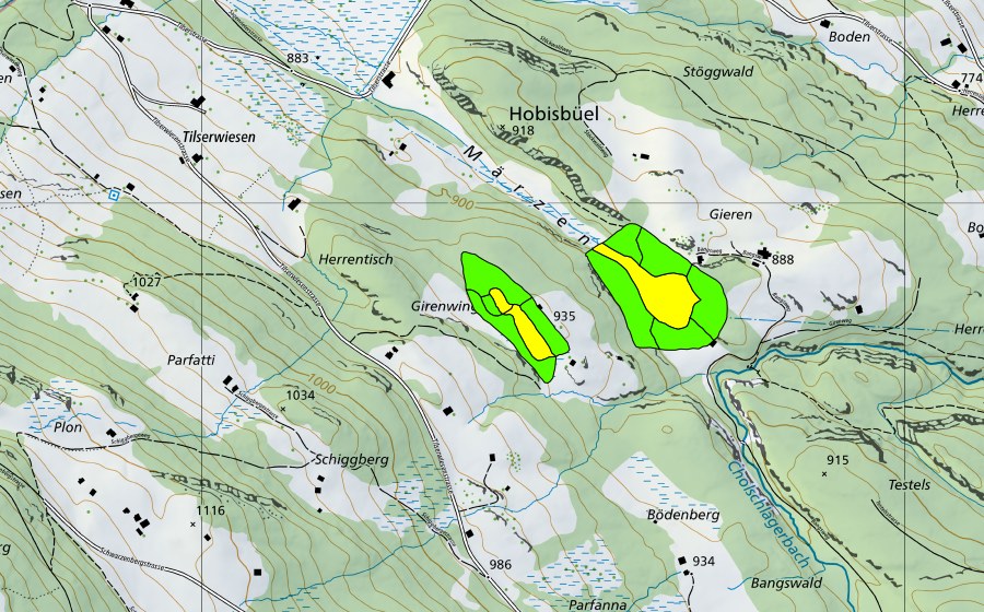 swisstopo national map showing the protected perimeter of Märzental (Raised bog)