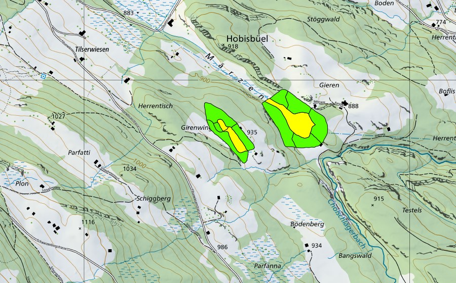 Landeskarte swisstopo mit dem Schutzperimeter von Märzental (Hochmoor)