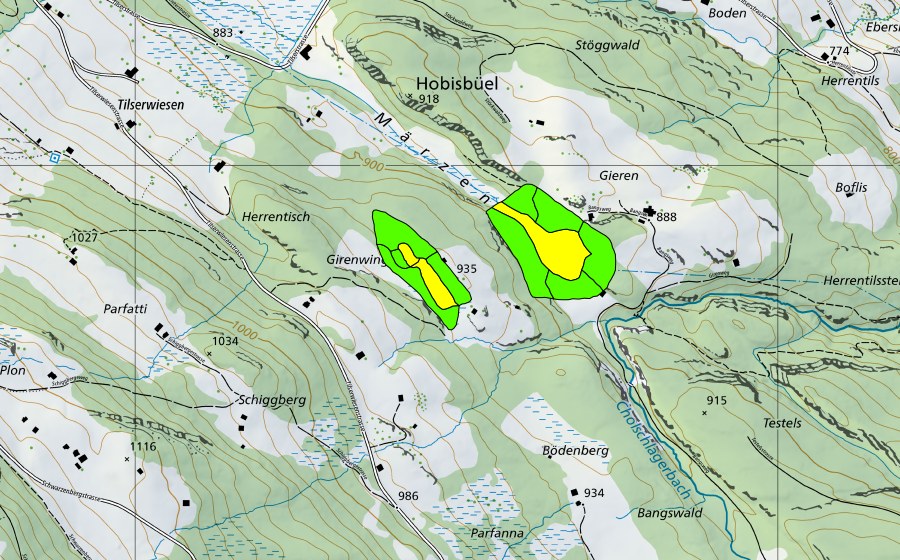 Landeskarte swisstopo mit dem Schutzperimeter von Märzental (Hochmoor)
