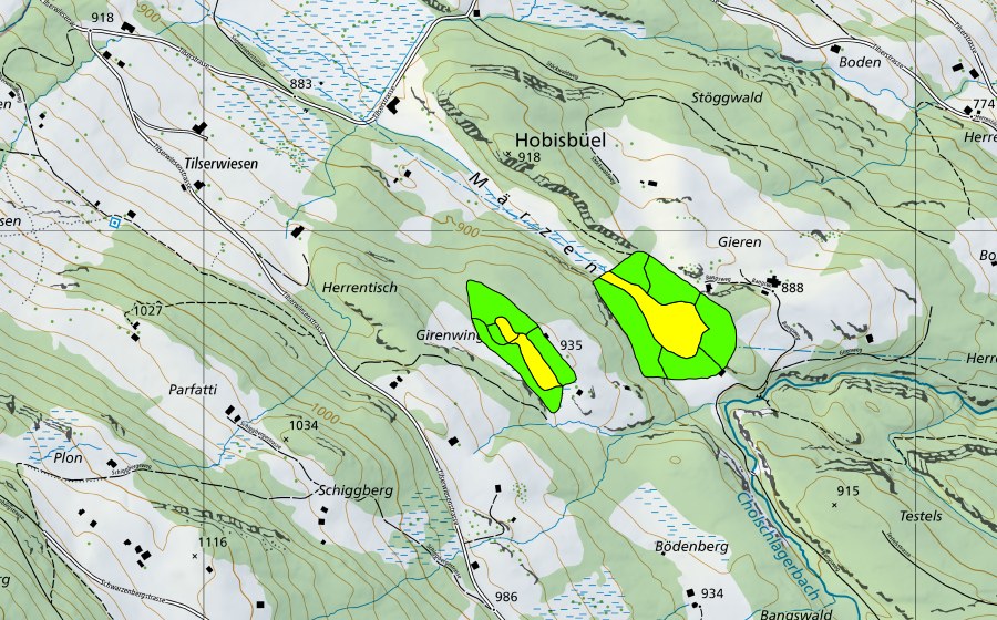 Landeskarte swisstopo mit dem Schutzperimeter von Märzental (Hochmoor)