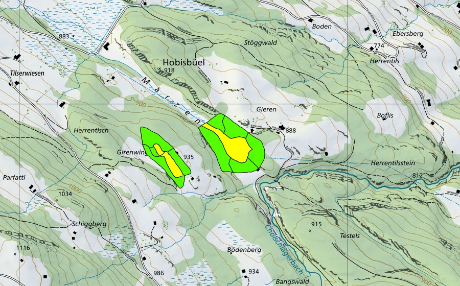 swisstopo national map showing the protected perimeter of Märzental (Raised bog)