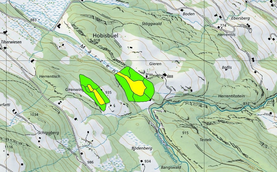 swisstopo national map showing the protected perimeter of Märzental (Raised bog)