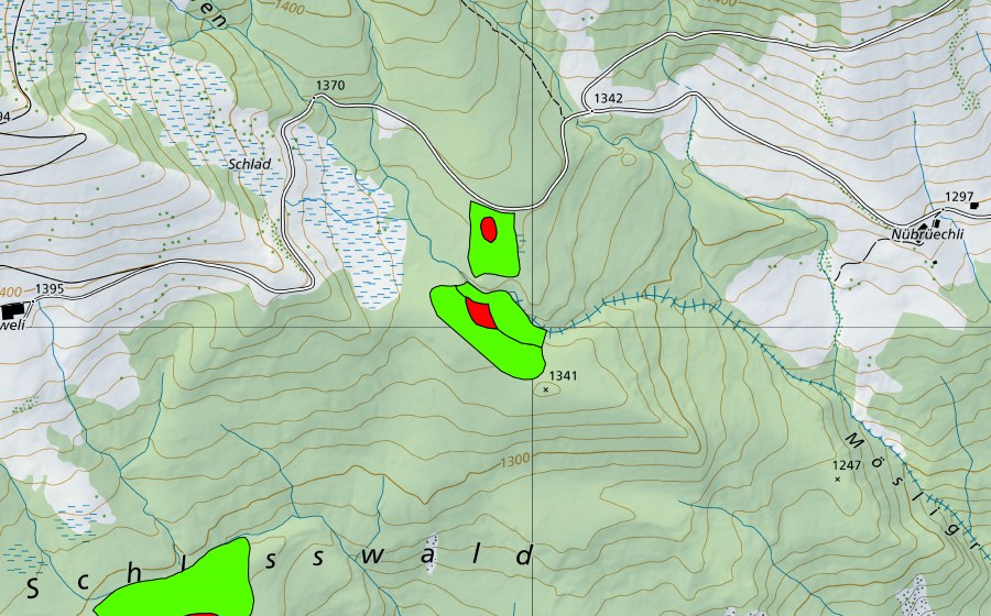 swisstopo national map showing the protected perimeter of Meiengraben (Raised bog)