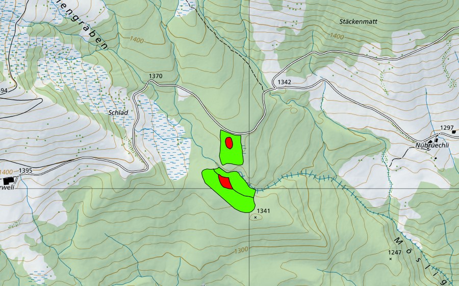 Landeskarte swisstopo mit dem Schutzperimeter von Meiengraben (Hochmoor)