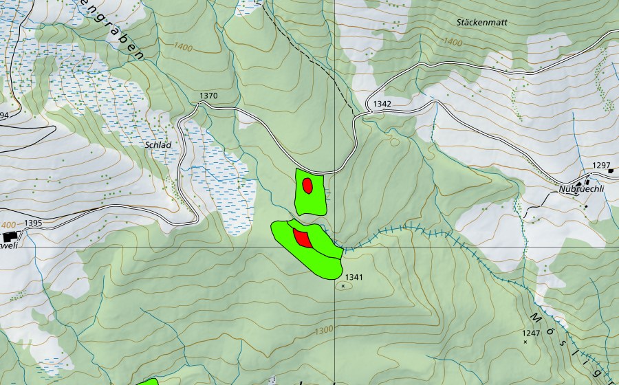 Landeskarte swisstopo mit dem Schutzperimeter von Meiengraben (Hochmoor)