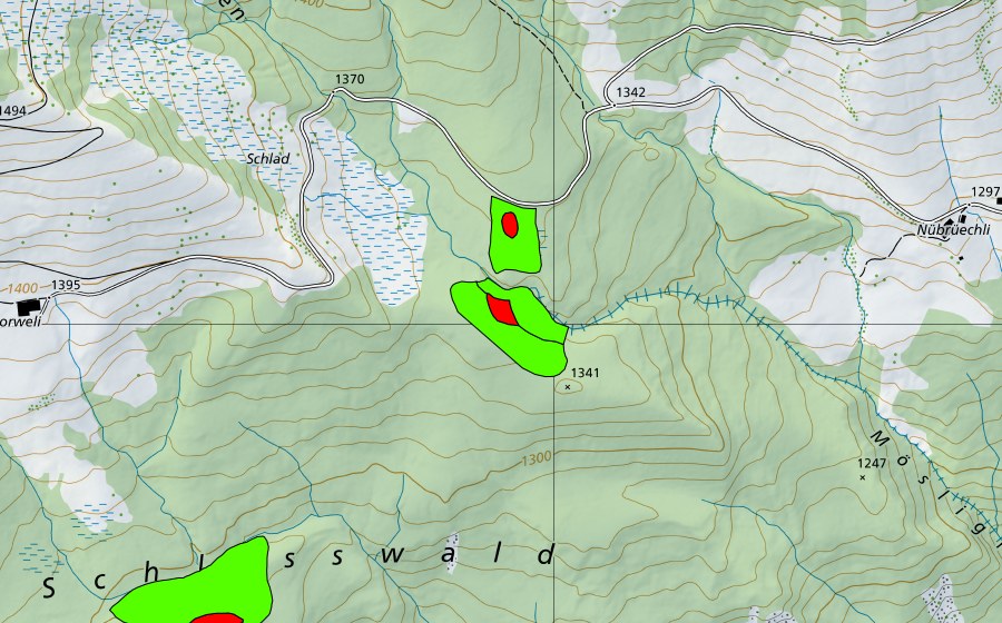 Carte nationale swisstopo avec le périmètre protégé de Meiengraben (Haut-marais)