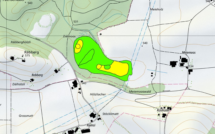 Landeskarte swisstopo mit dem Schutzperimeter von Meienmoos (Hochmoor)