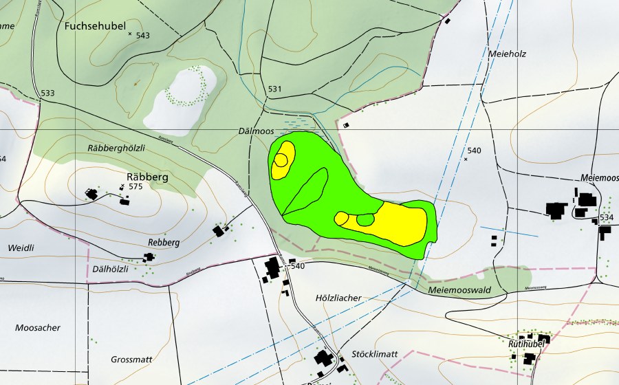 swisstopo national map showing the protected perimeter of Meienmoos (Raised bog)