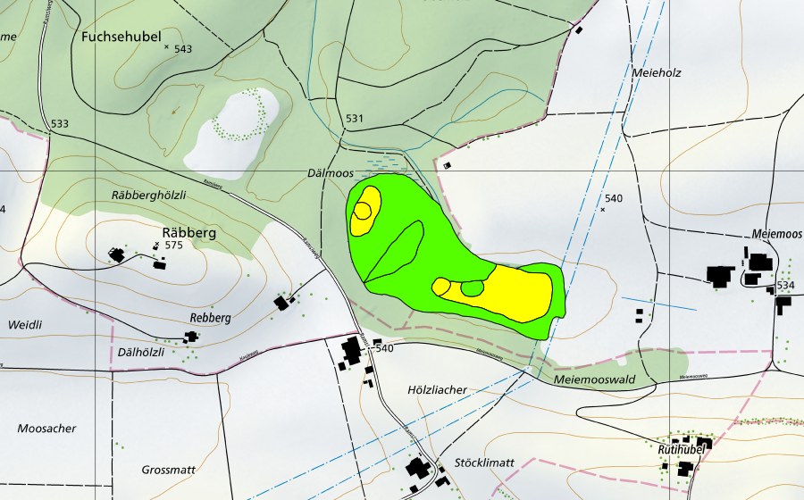 Landeskarte swisstopo mit dem Schutzperimeter von Meienmoos (Hochmoor)