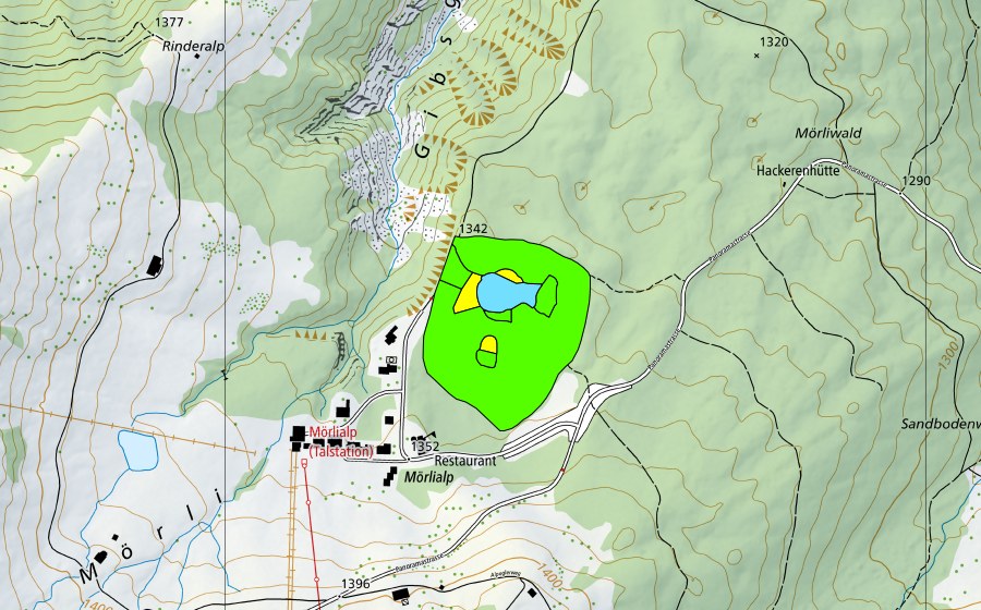 Landeskarte swisstopo mit dem Schutzperimeter von Merliwald (Hochmoor)