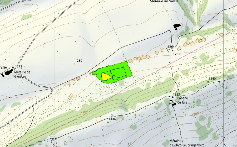 Landeskarte swisstopo mit dem Schutzperimeter von Métairie de Diesse (Hochmoor)
