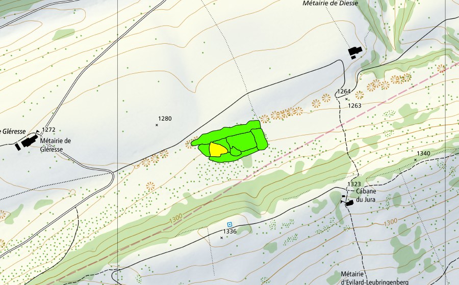 Landeskarte swisstopo mit dem Schutzperimeter von Métairie de Diesse (Hochmoor)