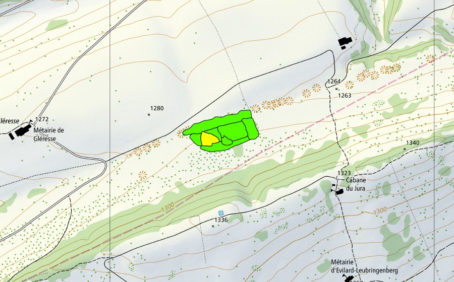 Landeskarte swisstopo mit dem Schutzperimeter von Métairie de Diesse (Hochmoor)