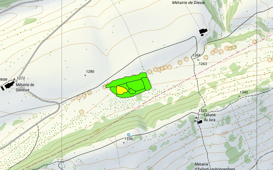 Landeskarte swisstopo mit dem Schutzperimeter von Métairie de Diesse (Hochmoor)