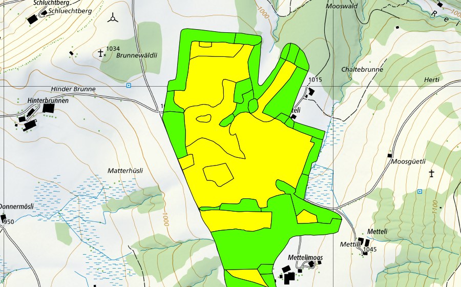 Carte nationale swisstopo avec le périmètre protégé de Mettilimoos (Haut-marais)