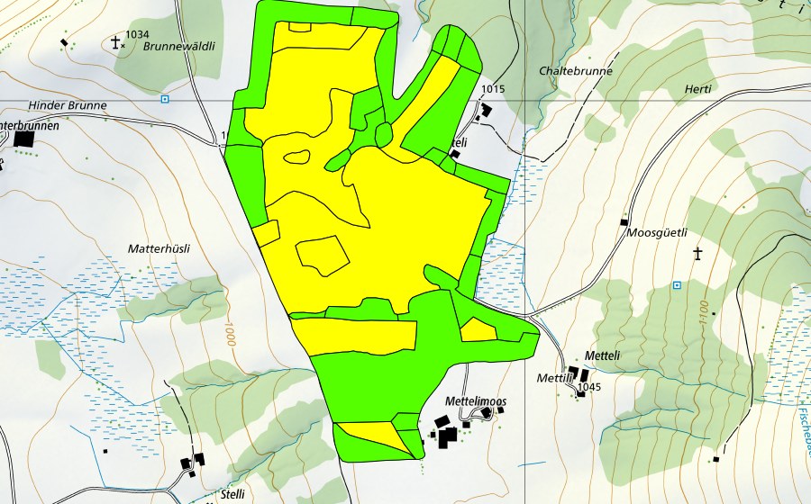 swisstopo national map showing the protected perimeter of Mettilimoos (Raised bog)