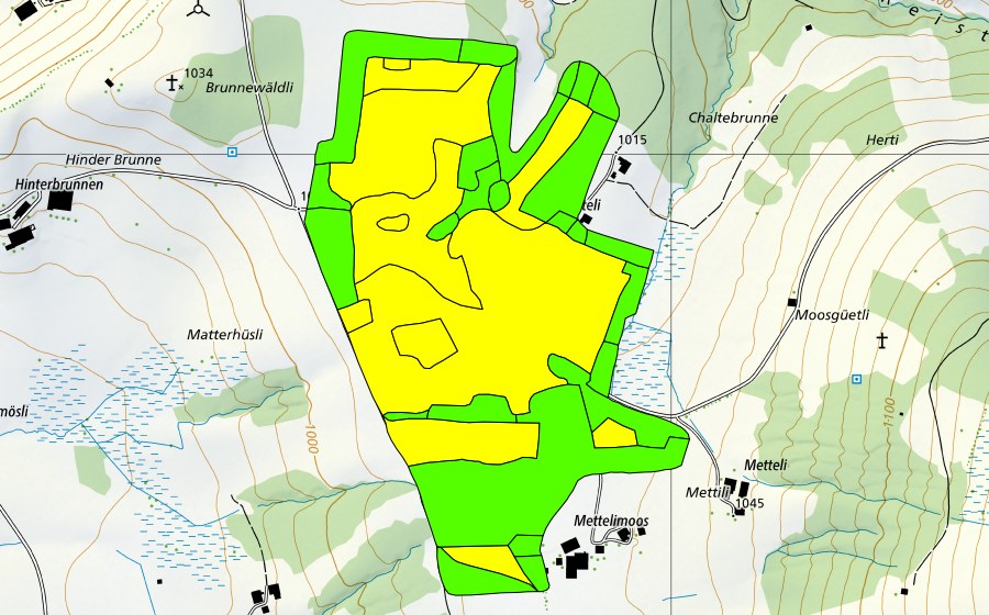 Landeskarte swisstopo mit dem Schutzperimeter von Mettilimoos (Hochmoor)