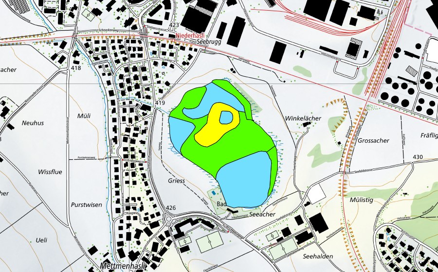 Landeskarte swisstopo mit dem Schutzperimeter von Mettmenhasler See (Hochmoor)
