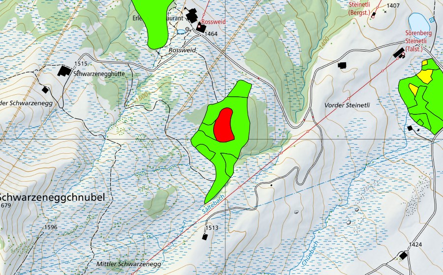 swisstopo national map showing the protected perimeter of Mittlerschwarzenegg (Raised bog)