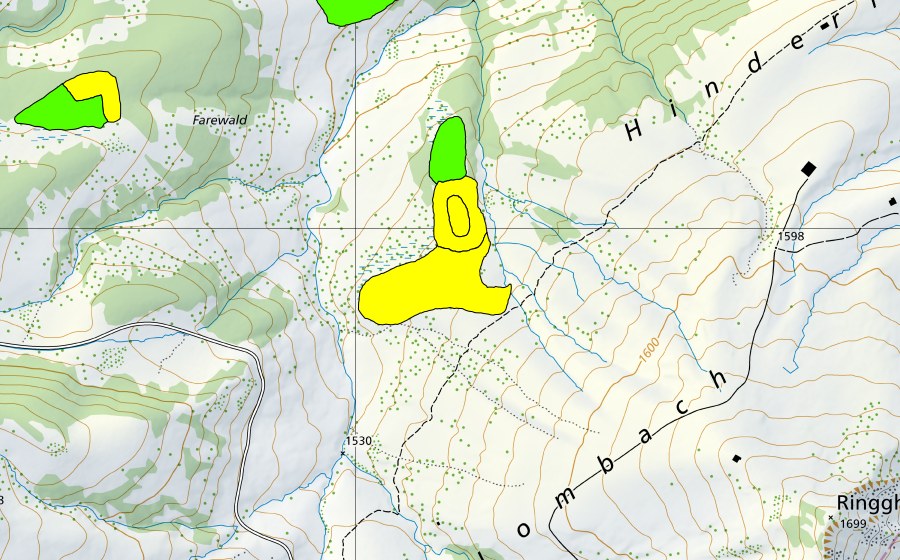 Landeskarte swisstopo mit dem Schutzperimeter von Moor bei Lombachalp (Hochmoor)