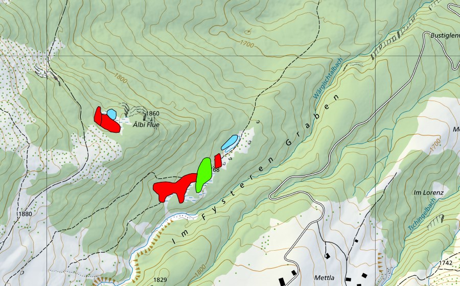 Landeskarte swisstopo mit dem Schutzperimeter von Moor beim Fysteren Graben (Hochmoor)