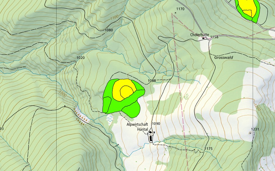 swisstopo national map showing the protected perimeter of Moor im Hürital (Raised bog)