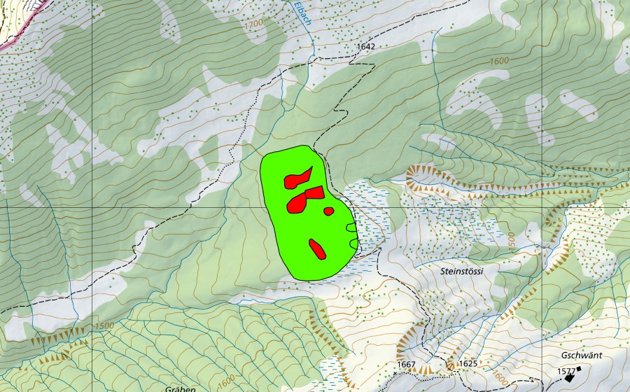 Carte nationale swisstopo avec le périmètre protégé de Moor nördlich First (Haut-marais)