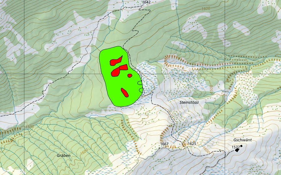 swisstopo national map showing the protected perimeter of Moor nördlich First (Raised bog)