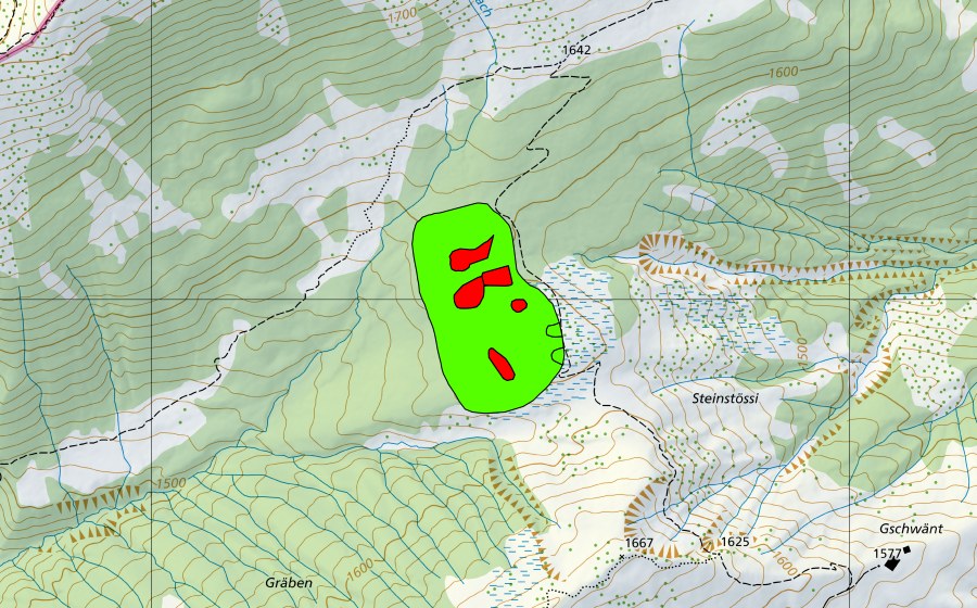 Carte nationale swisstopo avec le périmètre protégé de Moor nördlich First (Haut-marais)