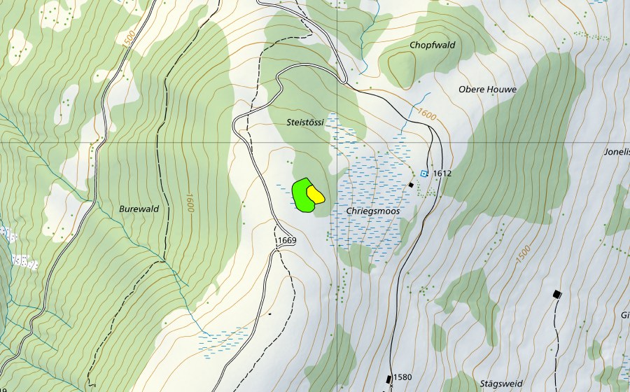 swisstopo national map showing the protected perimeter of Moor nördlich Toffelsweid (Raised bog)