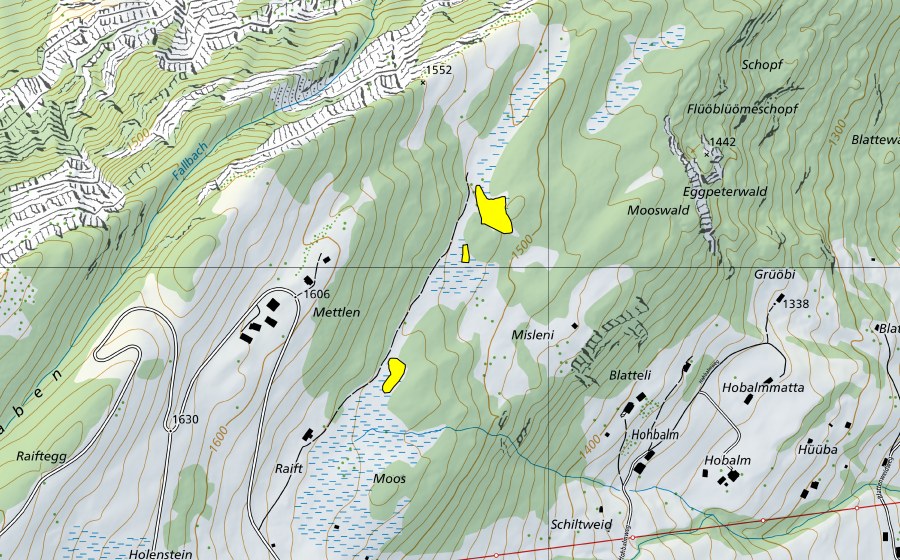 Carte nationale swisstopo avec le périmètre protégé de Moor nordöstlich Mettlen (Haut-marais)