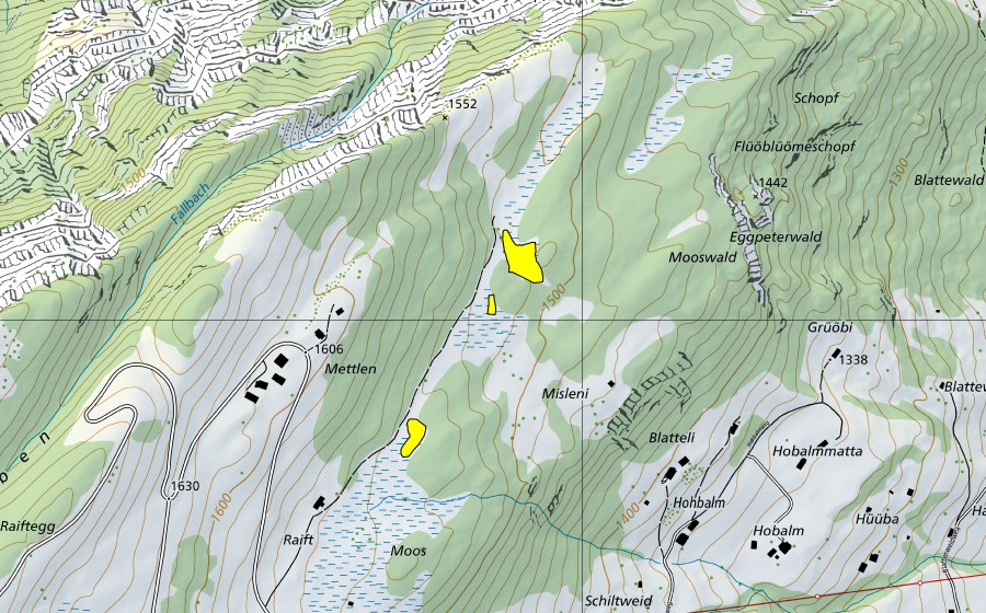 Carte nationale swisstopo avec le périmètre protégé de Moor nordöstlich Mettlen (Haut-marais)