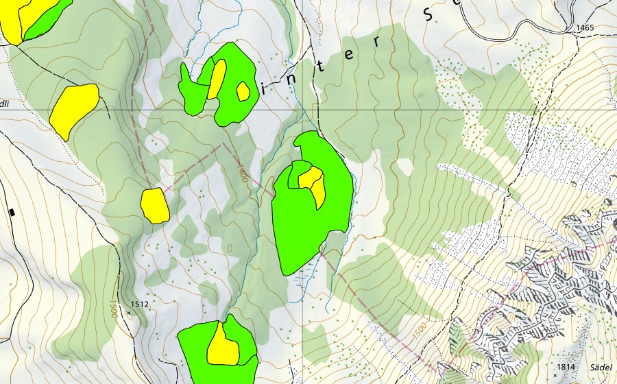 swisstopo national map showing the protected perimeter of Moor nordöstlich Oberes Hörnli (Raised bog)