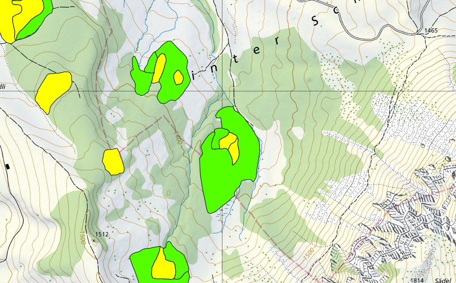 Landeskarte swisstopo mit dem Schutzperimeter von Moor nordöstlich Oberes Hörnli (Hochmoor)