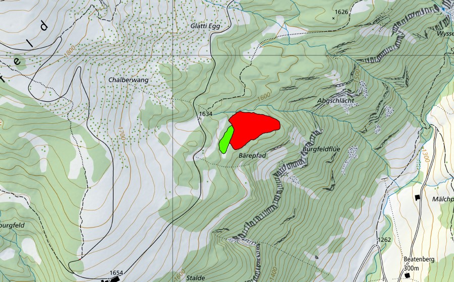 Carte nationale swisstopo avec le périmètre protégé de Moor oberhalb Burgfeldflüe (Haut-marais)