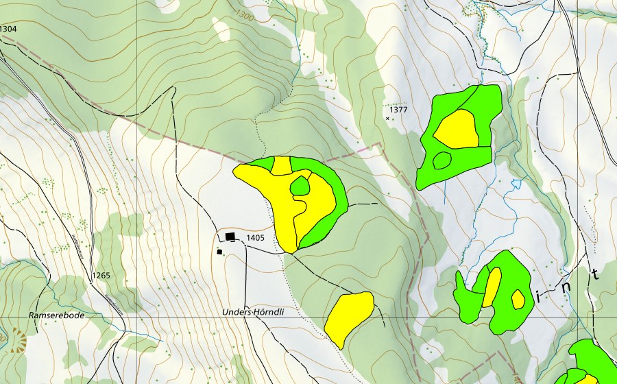 Carta nazionale swisstopo con il perimetro protetto di Moor östlich Unteres Hörnli (Torbiera alta)