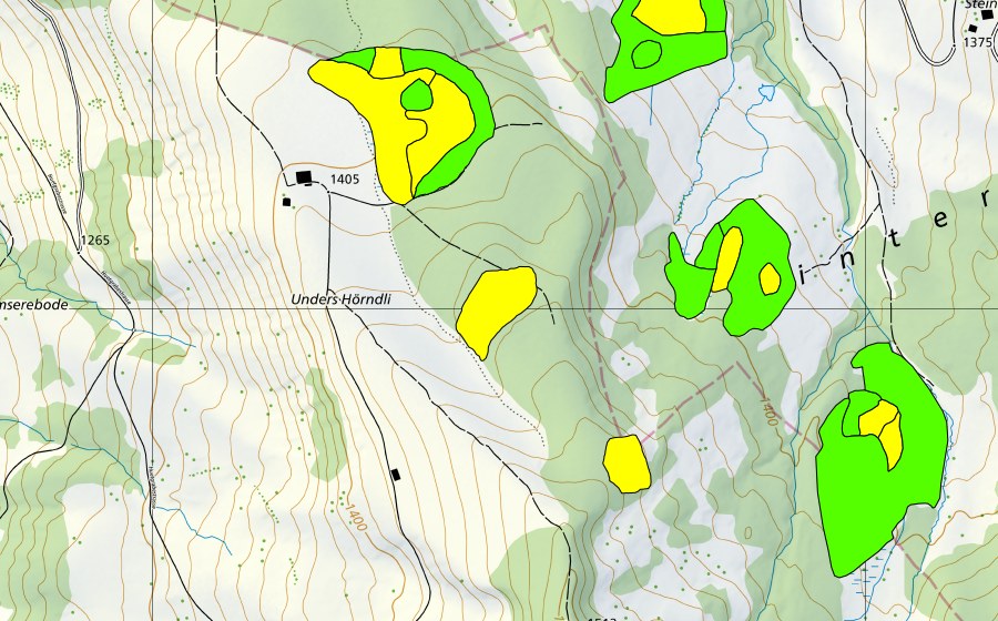 swisstopo national map showing the protected perimeter of Moor östlich Unteres Hörnli (Raised bog)